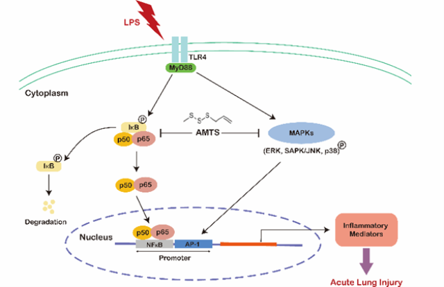 20220826166148013807200163.png 王硕4.png